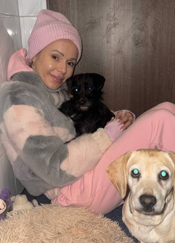 Doda walczy o schroniska