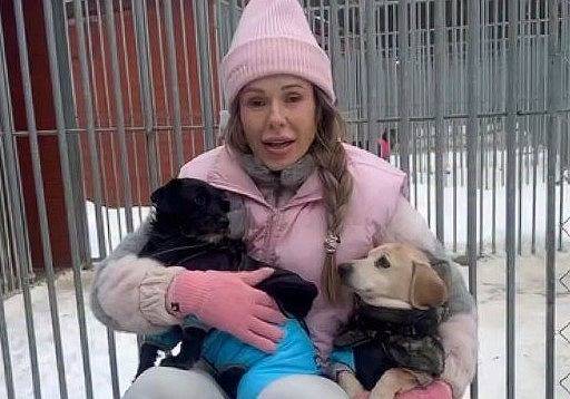 Doda walczy o schroniska